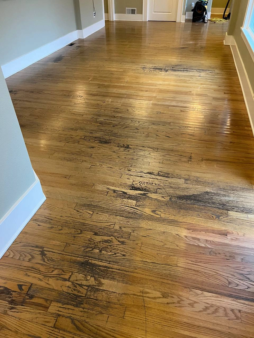 Close-up of aged oak flooring showing significant scuffs and dark wood grain damage before professional sanding.